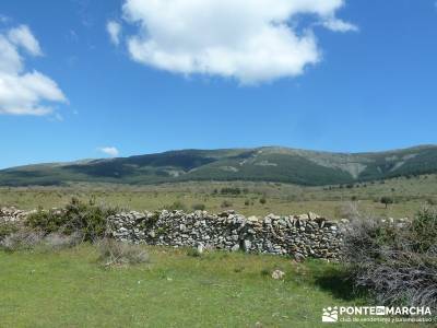 El pinar del Puerto de Navafría;escaladores de madrid;sierra de ayllon